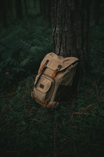 Toddler Hiking Essentials Checklist